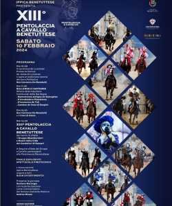 WhatsApp Image 2026-02-13 at 13.25.24 WhatsApp Image 2026-02-13 at 13.25.24